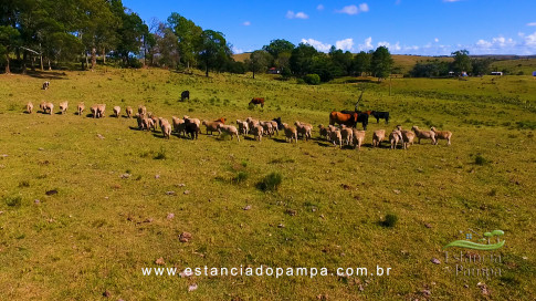 Gilberto Monteiro - Pra ti guria [VDownloader].00_00_38_24.Quadro009_2e51d2057515bb3970cb1a55227daf2089a500b3.jpg